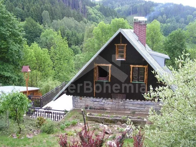 Chalet Orlicke Mountains VC 0127