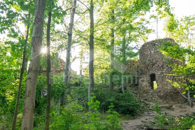 Zřícenina hradu Oheb