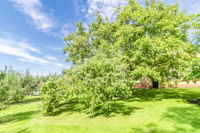 Boerderij České Budějovice en omgeving JC 0206
