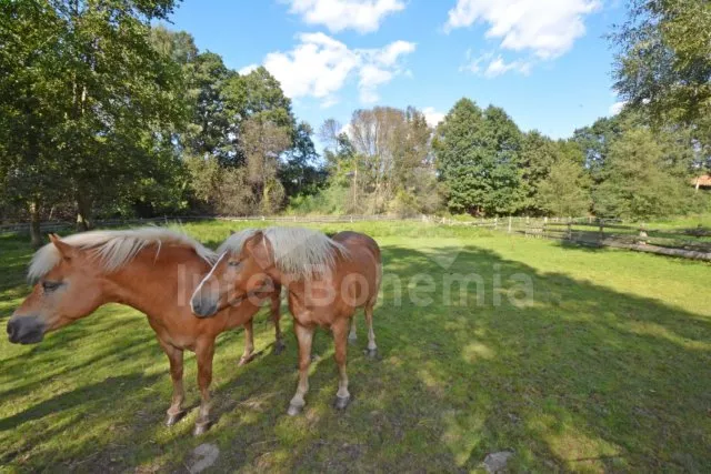 Holiday Home Bohemian-Moravian highlands VC 0174