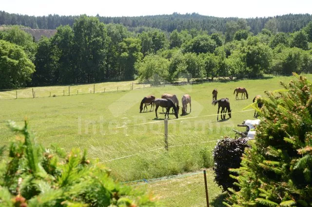 Holiday Home Písek and Surroundings JC 0447