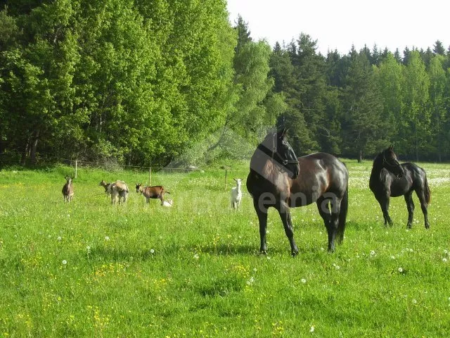 Holiday Home Lipno Lake JC 0625