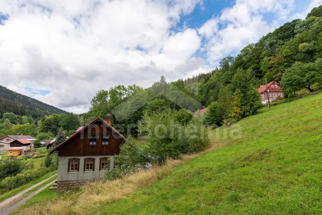 Holiday Home Jizera Mountains JH 0020