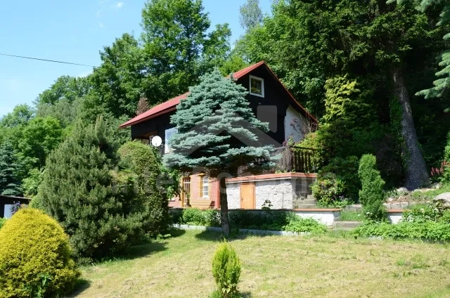 Holiday Home Jizera Mountains JH 0023