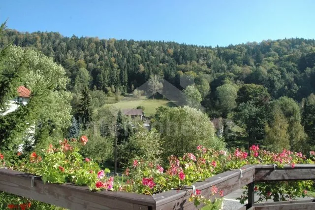 Holiday Home Jizera Mountains KK 0004