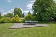 photos
