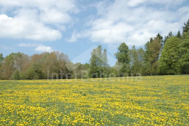 Boskovice-okolí