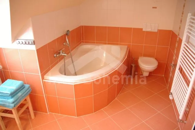 Ferienwohnung Lipno Stausee JC 0676 A