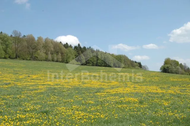 Šumava