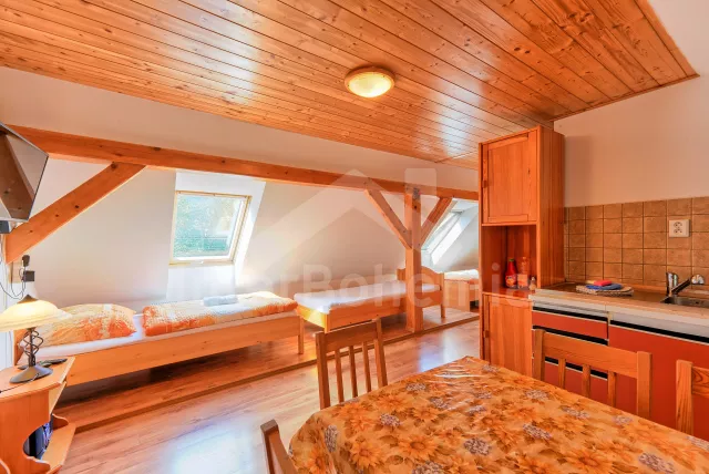 Apartmán Šumava a předhůří JC 0766