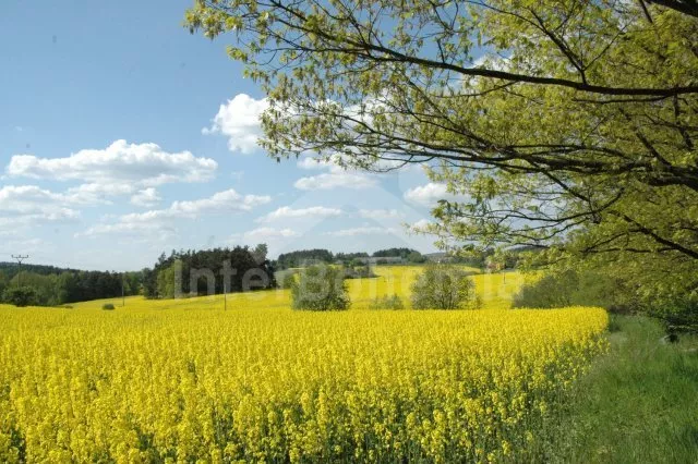 Farmhouse Orlik Dam JC 0034