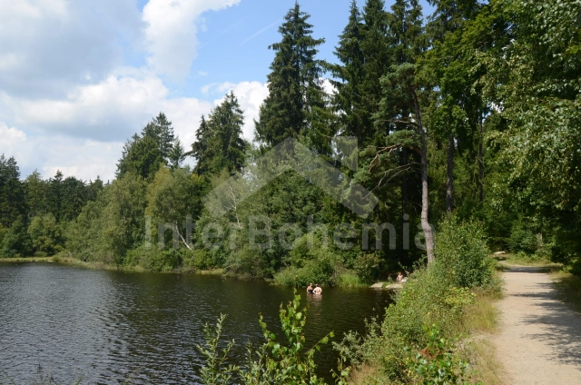 Chalet Bohemian-Moravian highlands - Mrakotin JC 0006