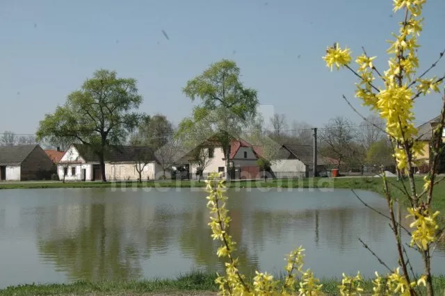 Farmhouse Trebon and Surroundings JC 0740