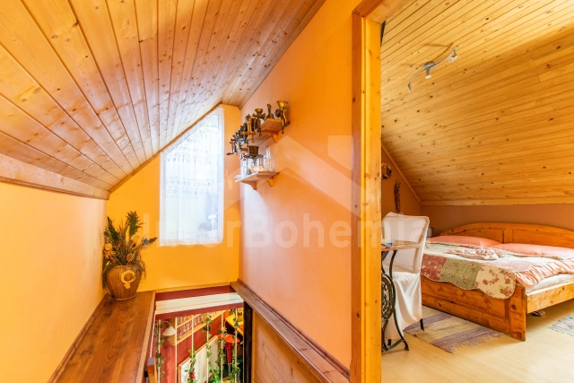 Villa Praag en omgeving OP 0022