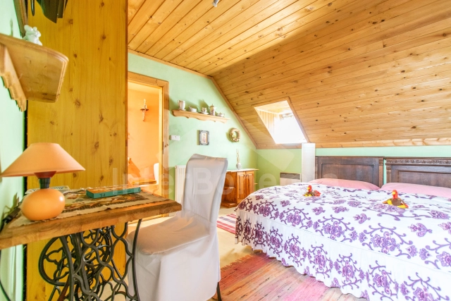 Villa Praag en omgeving OP 0022