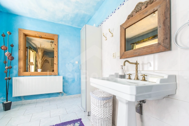 Villa Praag en omgeving OP 0022