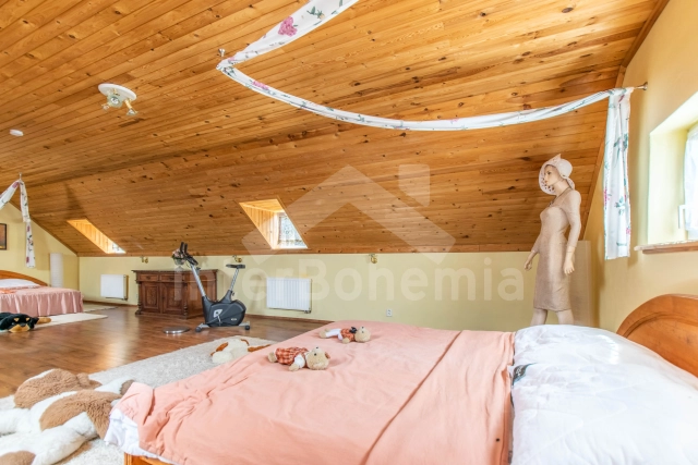 Villa Praag en omgeving OP 0022