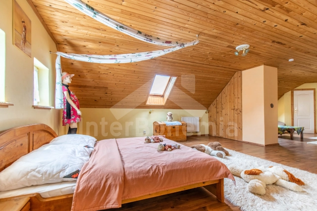 Villa Praag en omgeving OP 0022