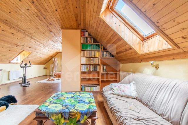 Villa Praag en omgeving OP 0022