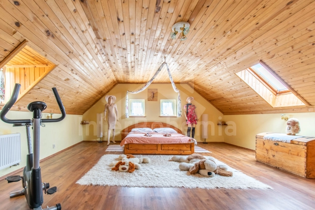 Villa Praag en omgeving OP 0022
