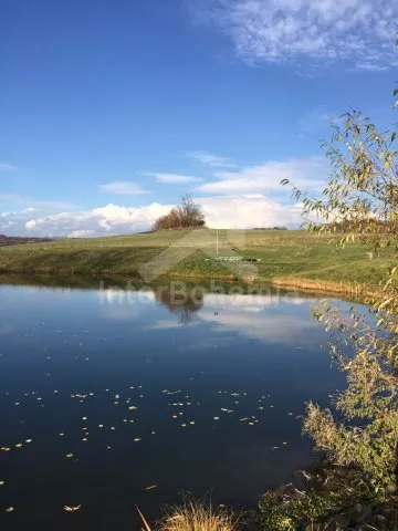 Stružná - Fishing