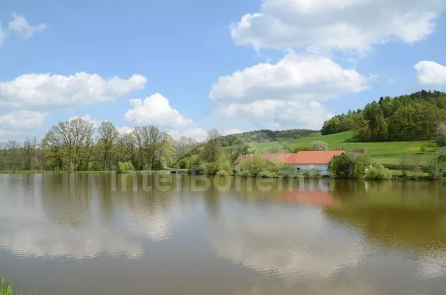 Holiday Home Tábor and Surroundings OP 0032