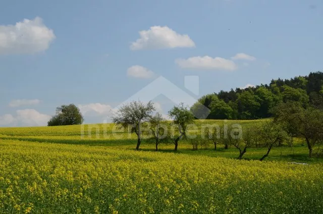 Holiday Home Tábor and Surroundings OP 0032