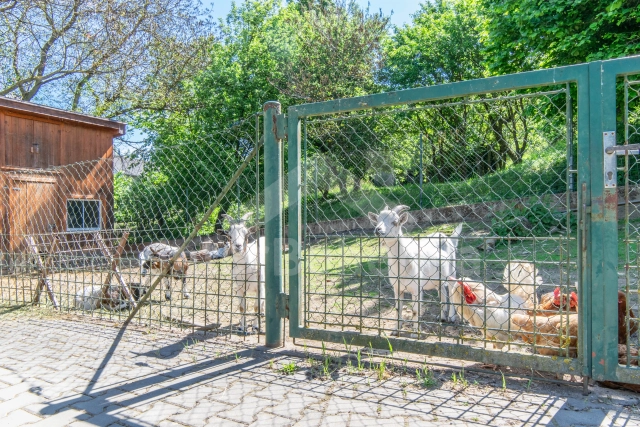 Bungalow Gebied rondom de stad Pisek JC 0009