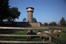 Lookout tower Kovářka Moraveč
