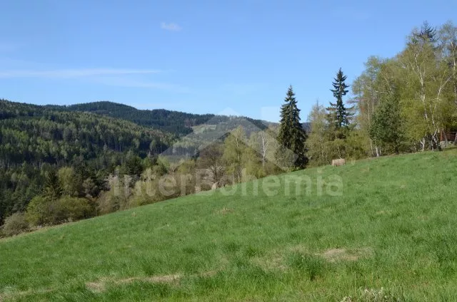 Holiday Home Bohemian Forest JC 0268