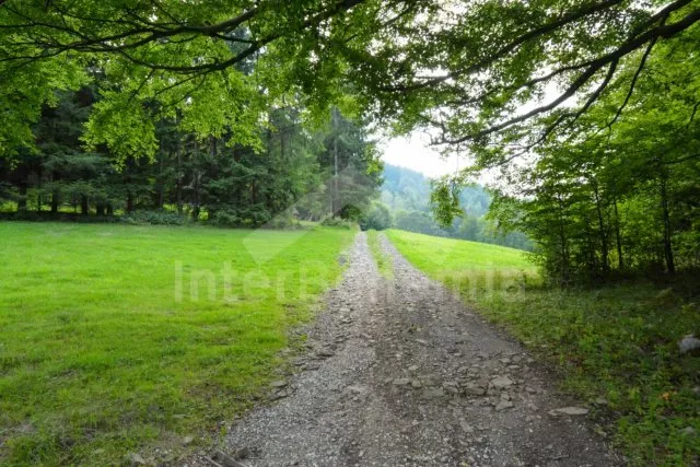 Příjezdová cesta