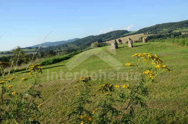 Holiday Home Nové Hrady and Surroundings JC 0277