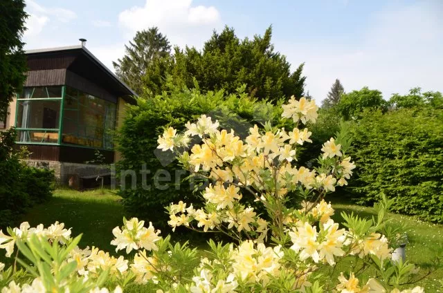 Bungalow Slapy stuwmeer OP 0040