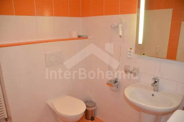 Apartmán Lipno JC 0257