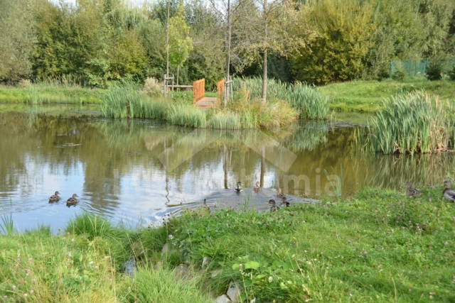 Pension Kuuroorden driehoek ZC 0043 C