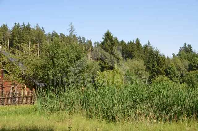 Cabin Tábor and Surroundings JC 0312