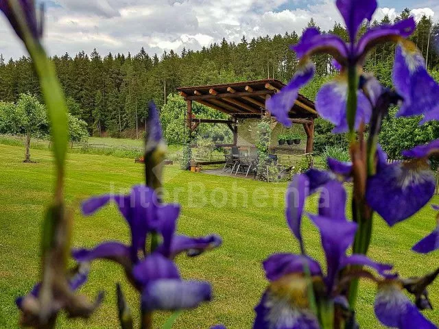 Cabin Tábor and Surroundings JC 0312