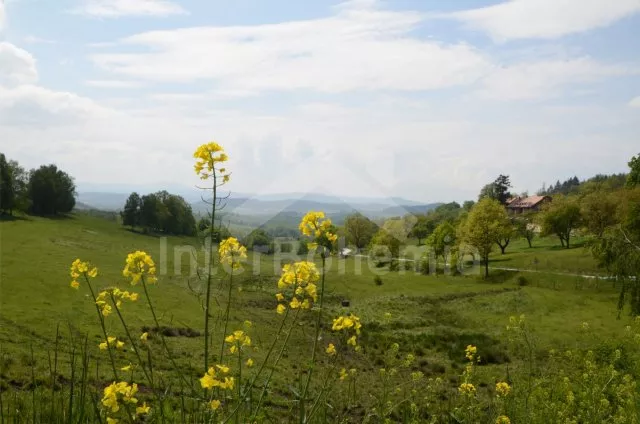 Holiday Home Bohemian Forest JC 0314