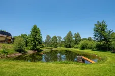 photos