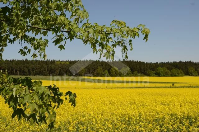 Ferienhaus Südböhmen – Orlik Stausee JC 0035