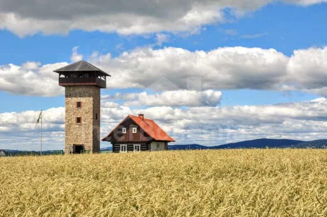 Rozhledna U Borovice Vysoké