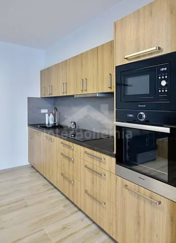 Apartmán Orlické hory a předhůří VC 0061 C