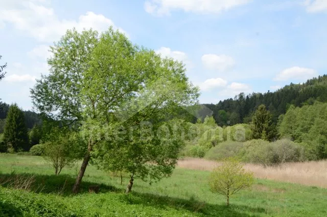 Bungalow Südböhmen – Tabor JC 0039