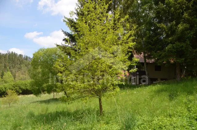 Bungalow Südböhmen – Tabor JC 0039