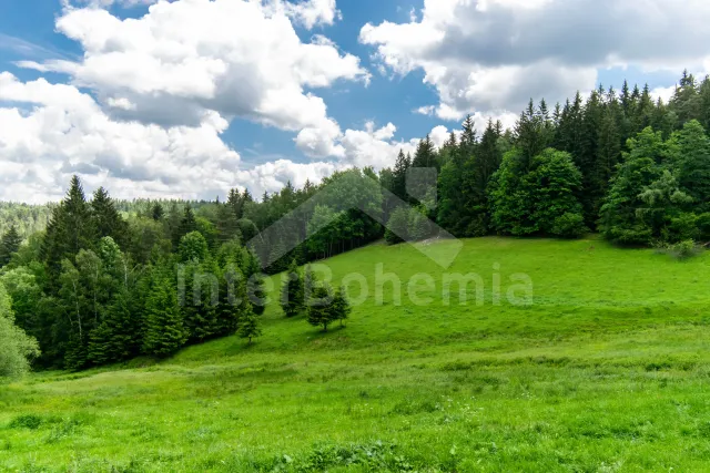 Glamping Bohemian Forest - Mlynarovice JC 0066
