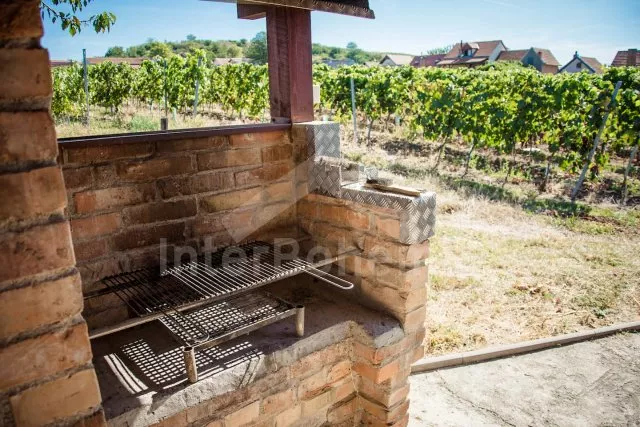 Ferienhaus Südmähren - Palava - Velké Bílovice JM 0114