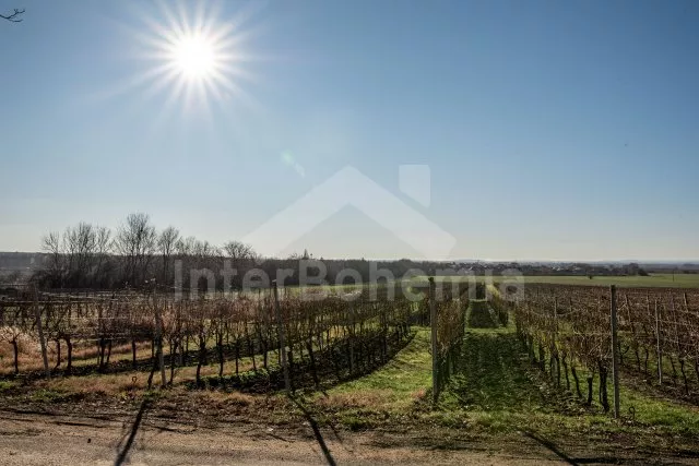 Ferienhaus Südmähren - Palava - Velké Bílovice JM 0114