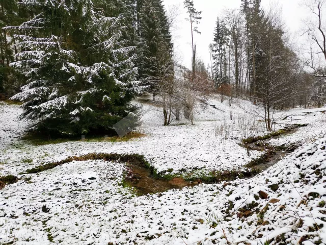 Ferienhaus České Švýcarsko (Böhmische Schweiz) - Dlouhy Dul LH 0045