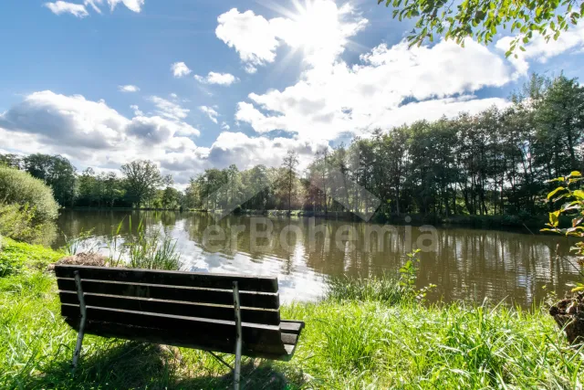 Vakantiehuis Heuvellandschap Boheems bos - Hradistany ZC 0117