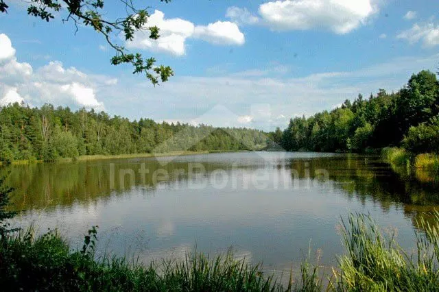 Chata Jihočeské rybníky - Hluboká u Borovan JC 0060